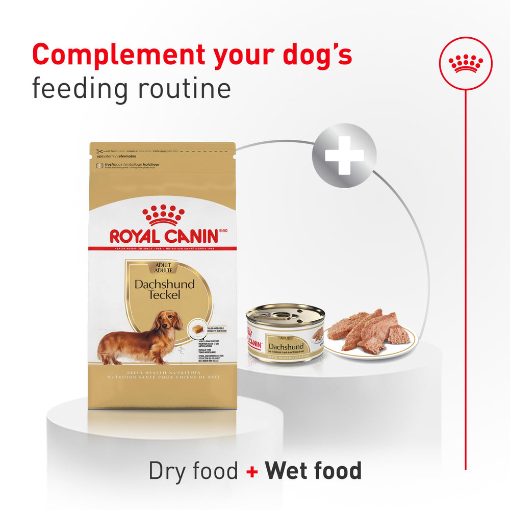 ROYAL CANIN porción servida medidor mostrando cantidad adecuada por ración