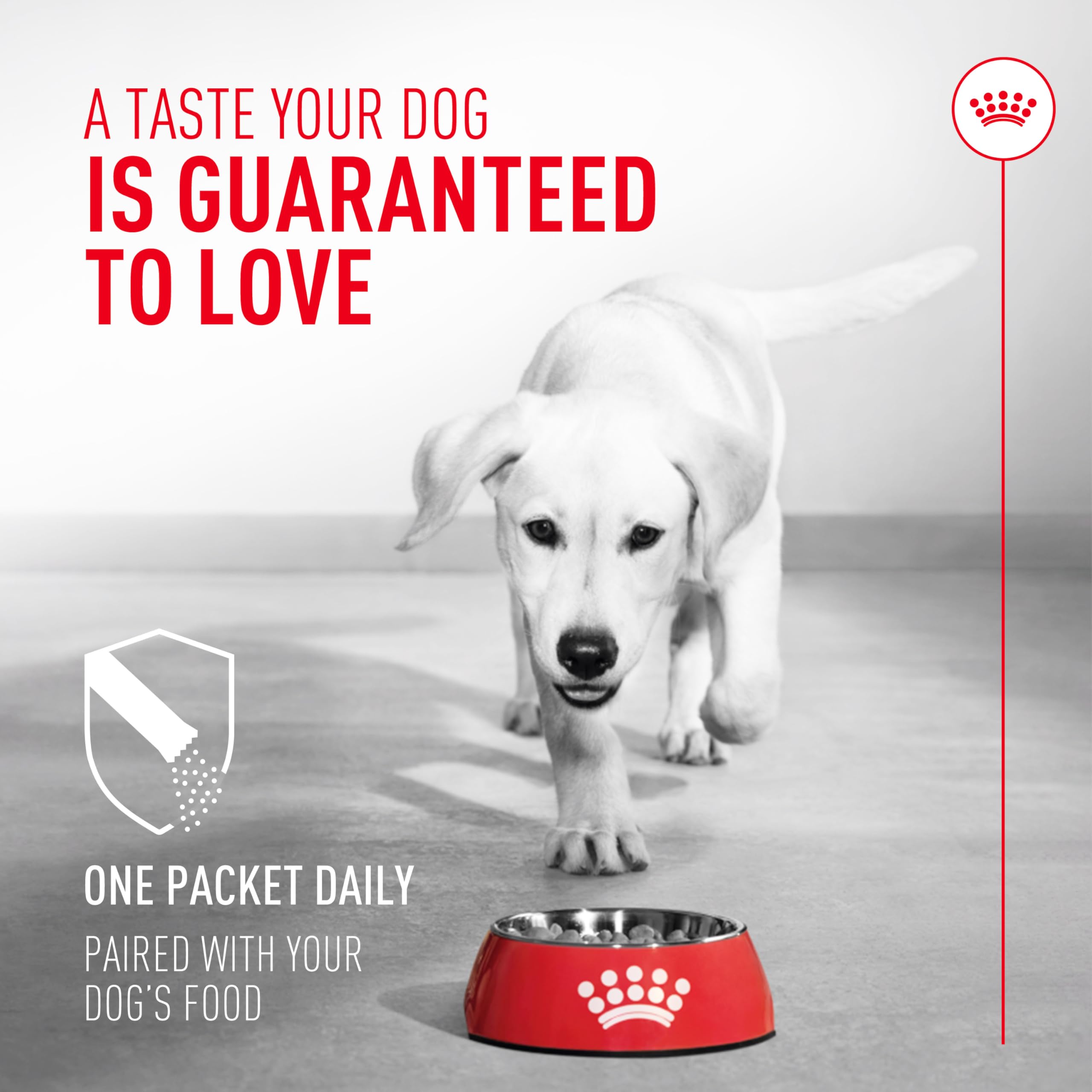 ROYAL CANIN sobre espolvoreado en comida húmeda, mejora aceptación del alimento