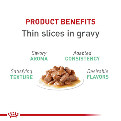 ROYAL CANIN alimento servido en plato, favorece digestión equilibrada