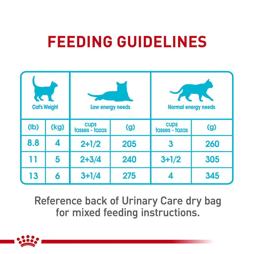 ROYAL CANIN gato comiendo alimento húmedo que mejora aceptación
