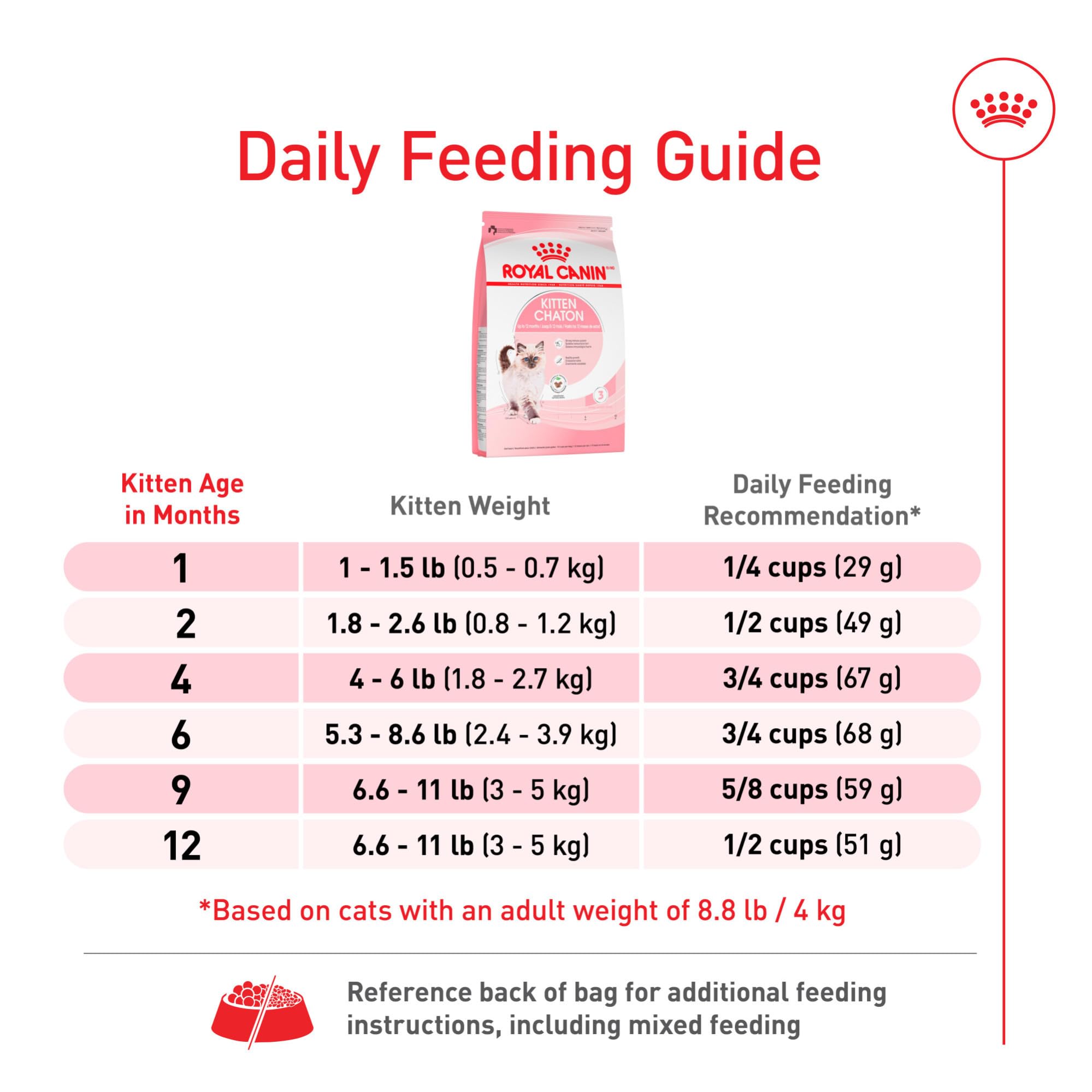 ROYAL CANIN gatito jugando en hogar energía saludable y desarrollo