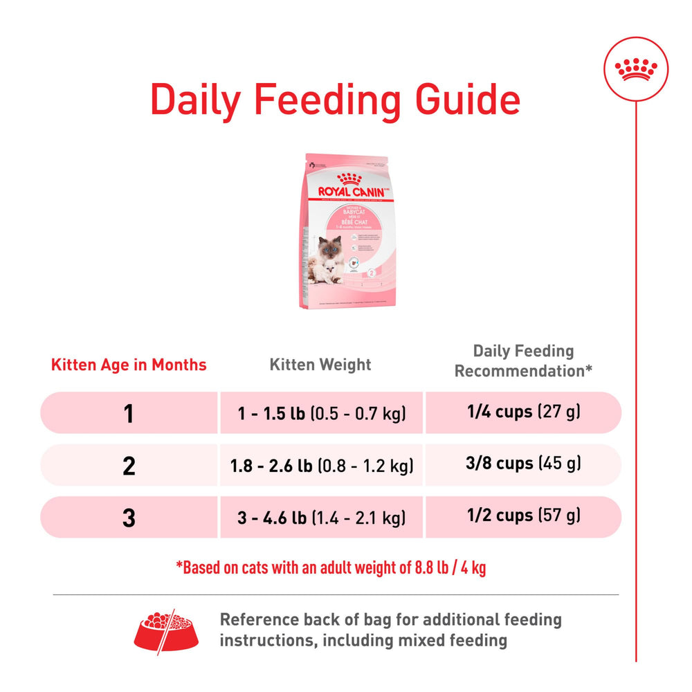 ROYAL CANIN escena hogareña gatitos jugando con fórmula para crecimiento saludable