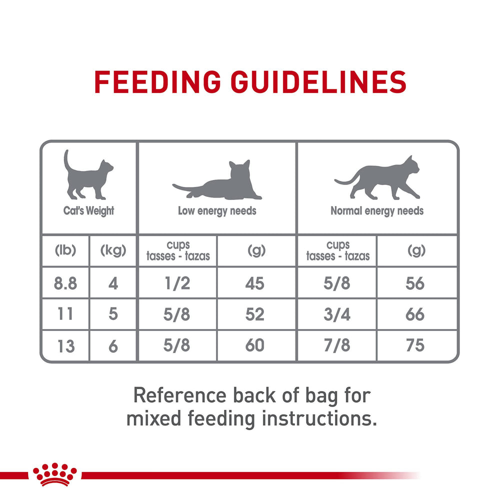 ROYAL CANIN gato relajado en hogar tras dieta que apoya salud oral y bienestar