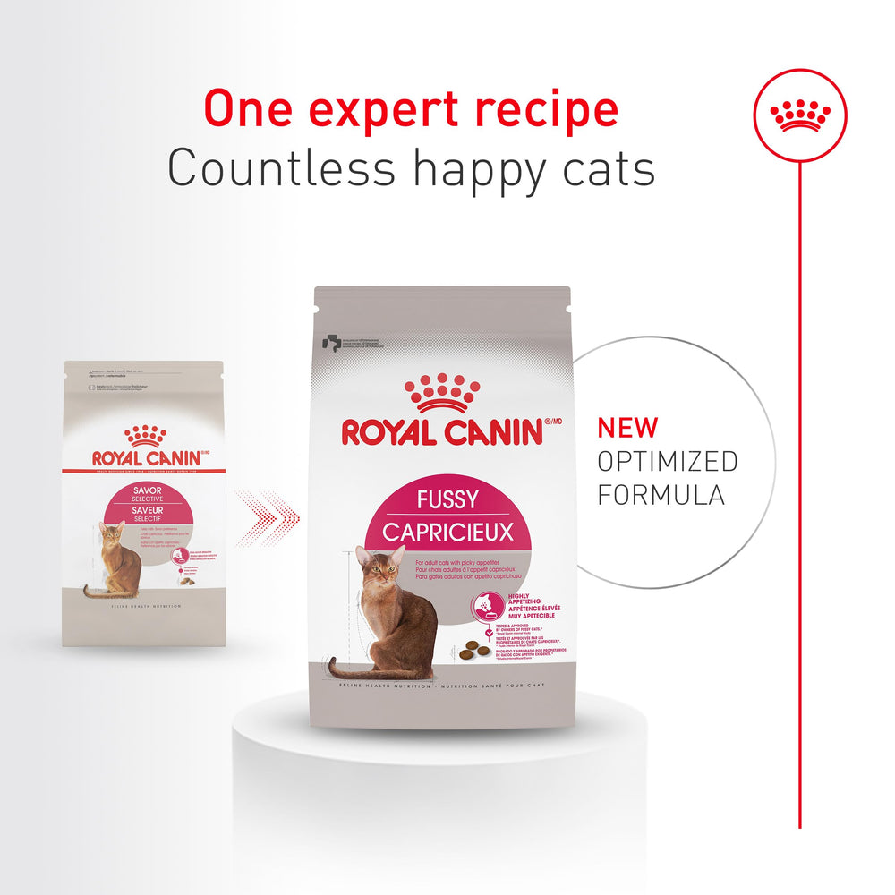 ROYAL CANIN primer plano de croqueta que muestra textura apetitosa