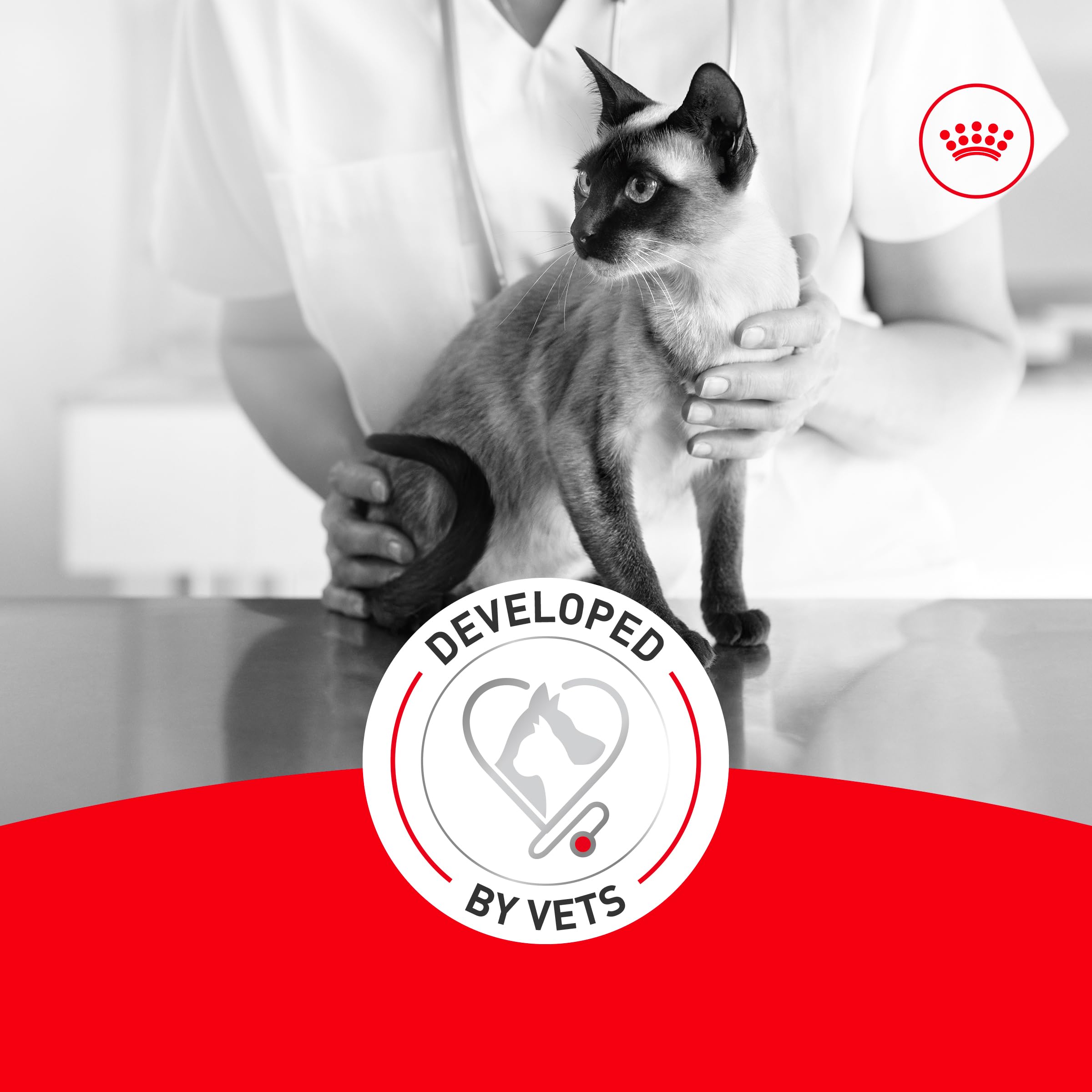 ROYAL CANIN etiqueta nutricional legible con guías de ración