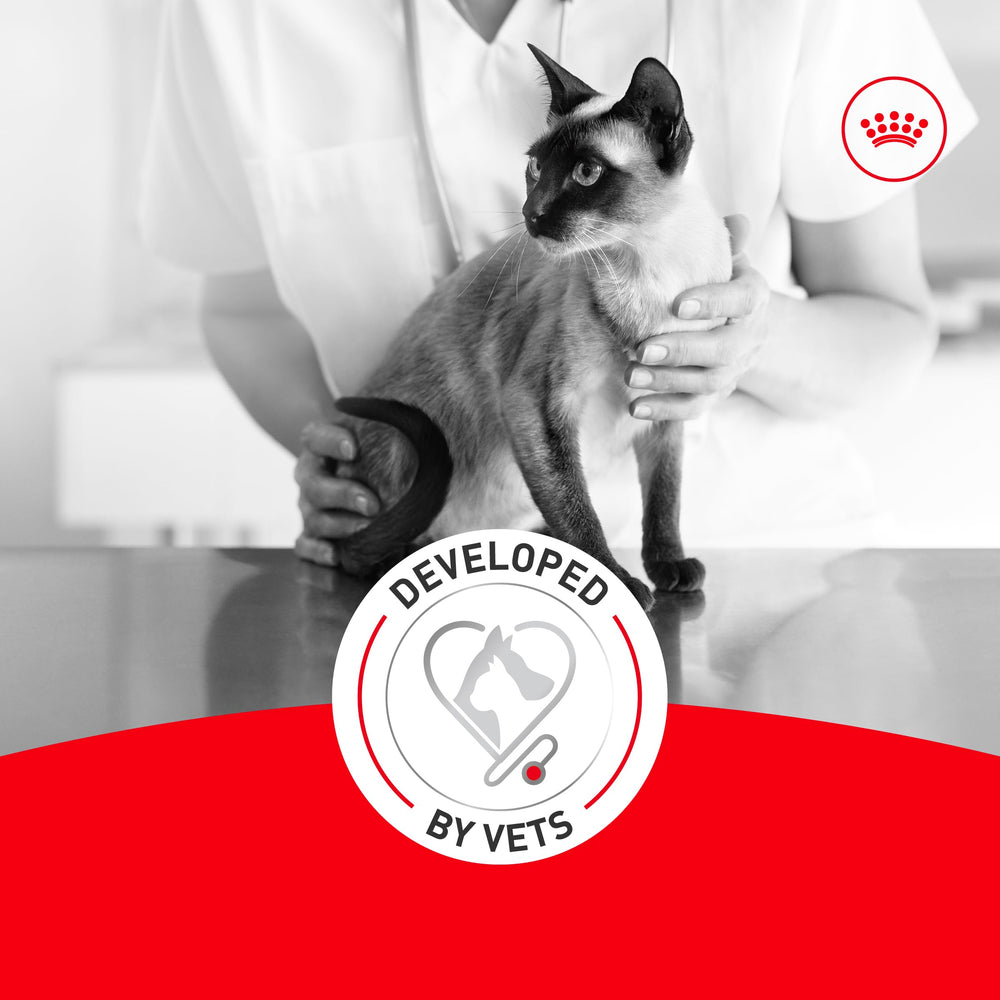 ROYAL CANIN etiqueta nutricional legible con guías de ración