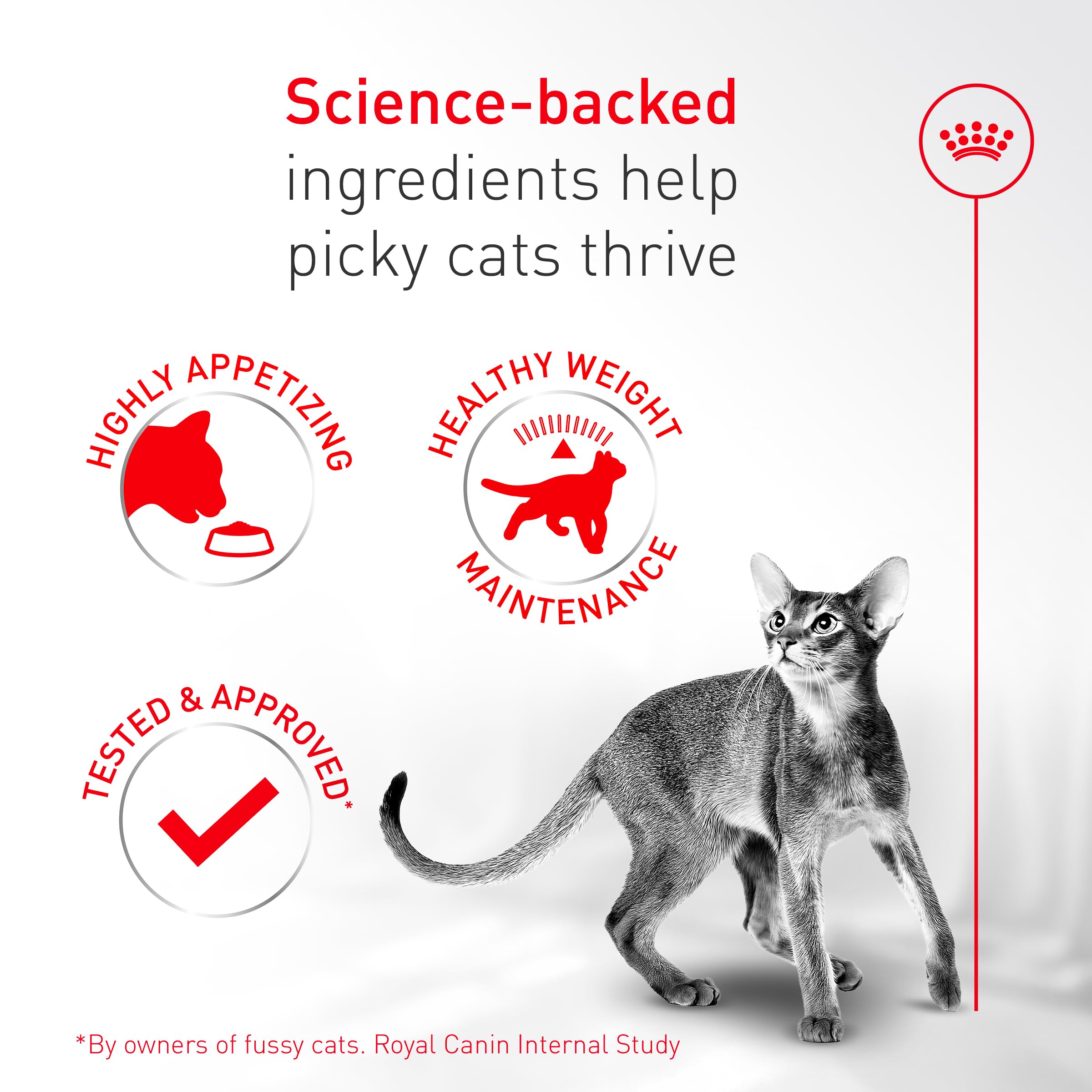 ROYAL CANIN kilómetro de ingredientes clave visualizados y balance