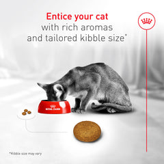 ROYAL CANIN textura y color de las croquetas, estimula apetito