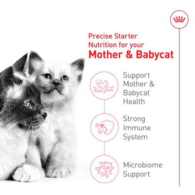 ROYAL CANIN gata amamantando gatitos para apoyo energético y nutricional