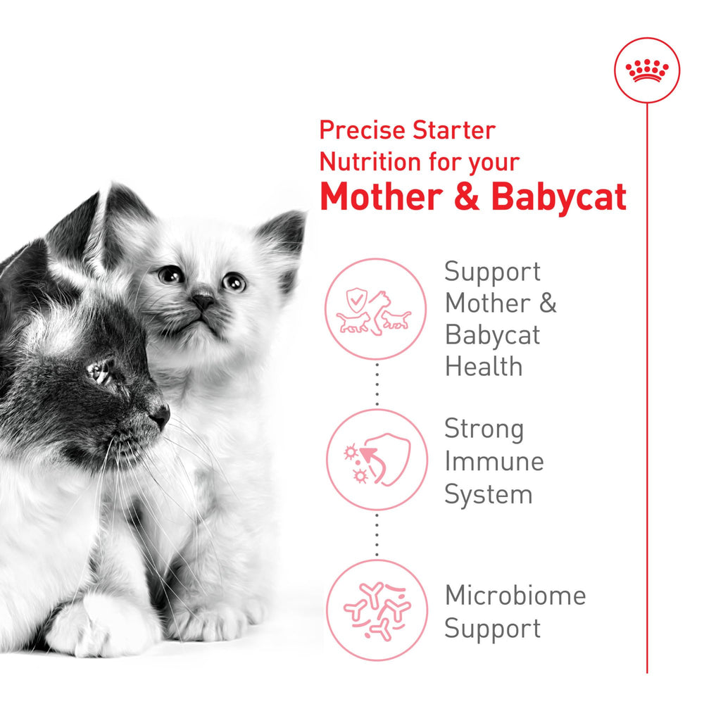 ROYAL CANIN gata amamantando gatitos para apoyo energético y nutricional