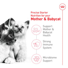 ROYAL CANIN gata amamantando gatitos para apoyo energético y nutricional