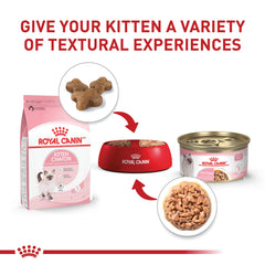 ROYAL CANIN gatito comiendo de plato; beneficio: aceptado por paladares exigentes