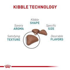 ROYAL CANIN close-up of kibble showing shape and bite-size texture benefit