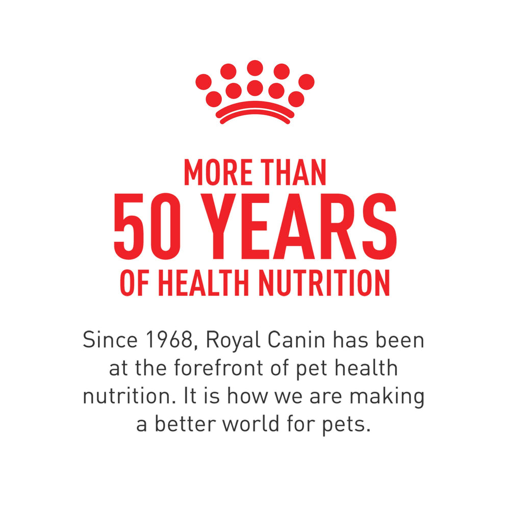 Royal Canin caja destacando la cepa Saccharomyces boulardii como ingrediente