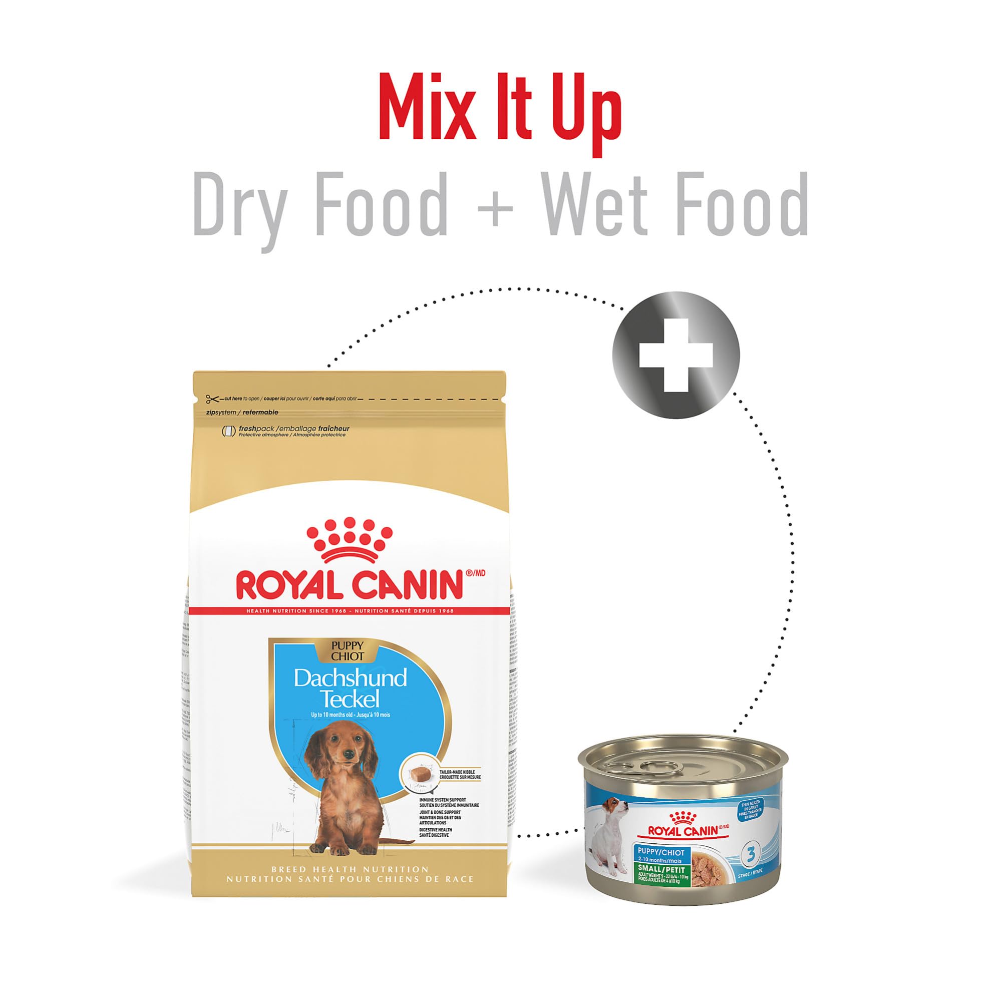 ROYAL CANIN ingredientes clave en bol destacando digestibilidad