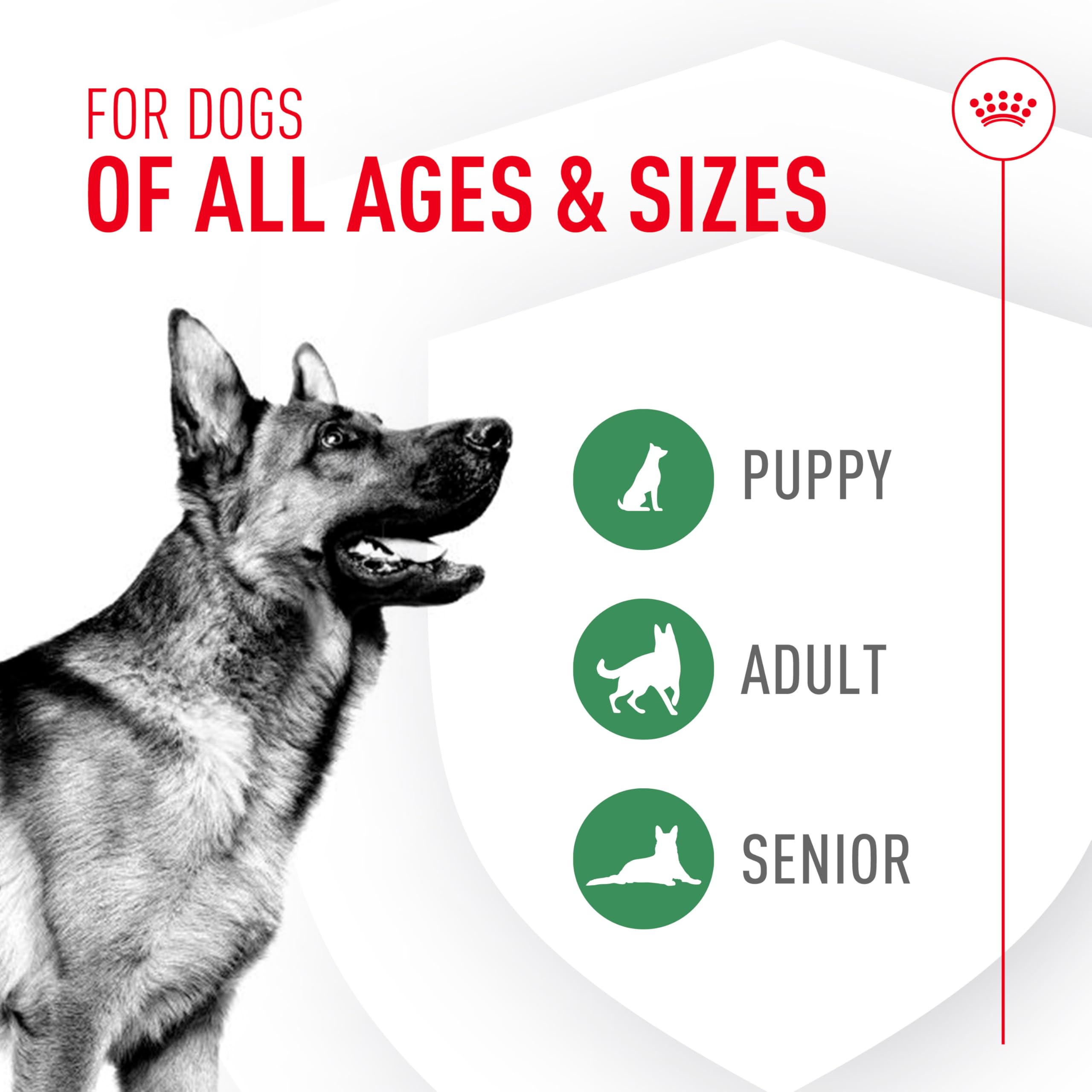 ROYAL CANIN etiqueta con instrucciones claras, uso veterinario recomendado
