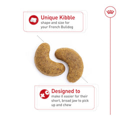 royal canin close-up of kibble texture showing digestible formula benefit