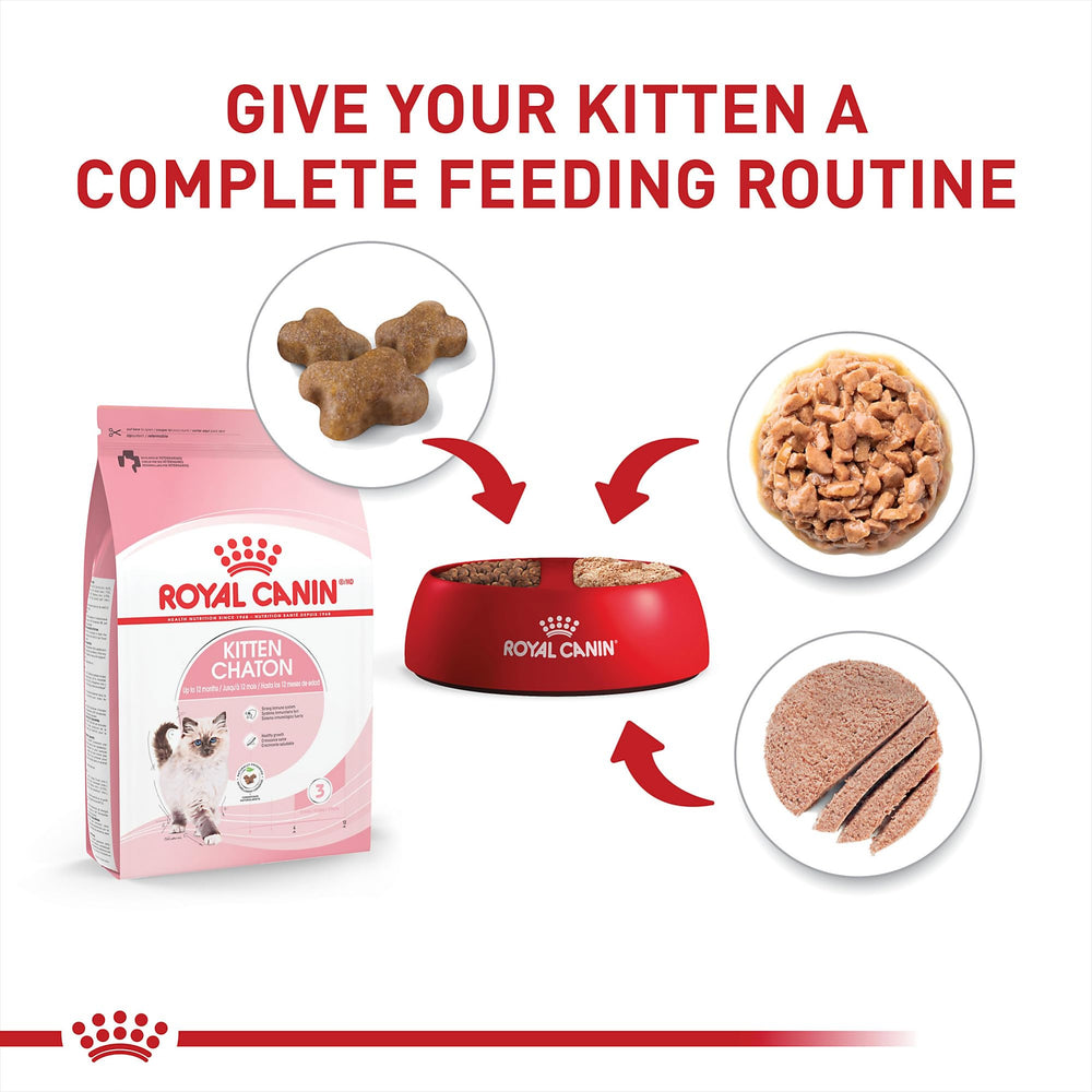 ROYAL CANIN lata abierta Loaf in Sauce paté suave para dientes jóvenes