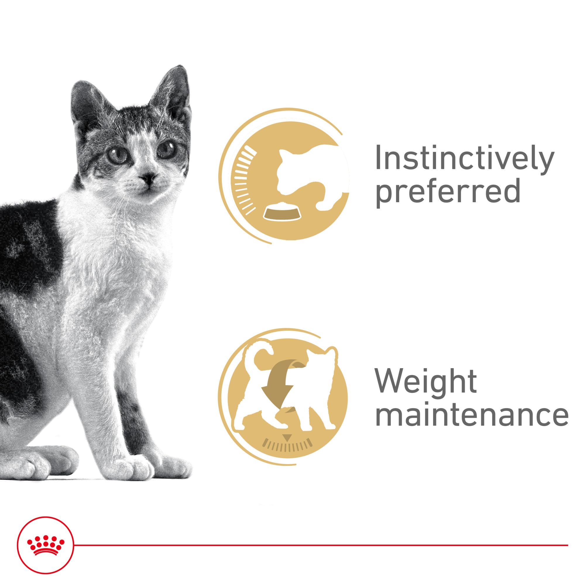 ROYAL CANIN detalle de lonchas finas indicando mayor palatabilidad