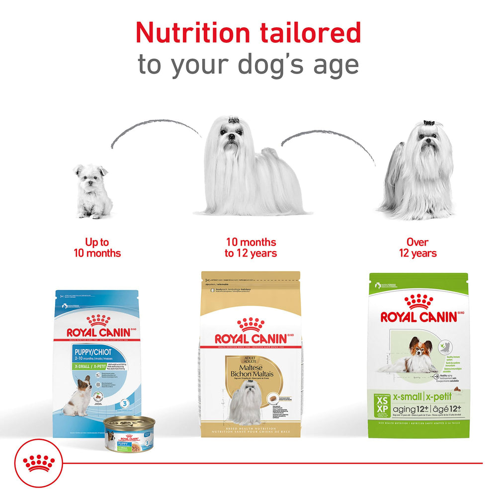 ROYAL CANIN bolsa de 2.5 lb en mano para escala y portabilidad