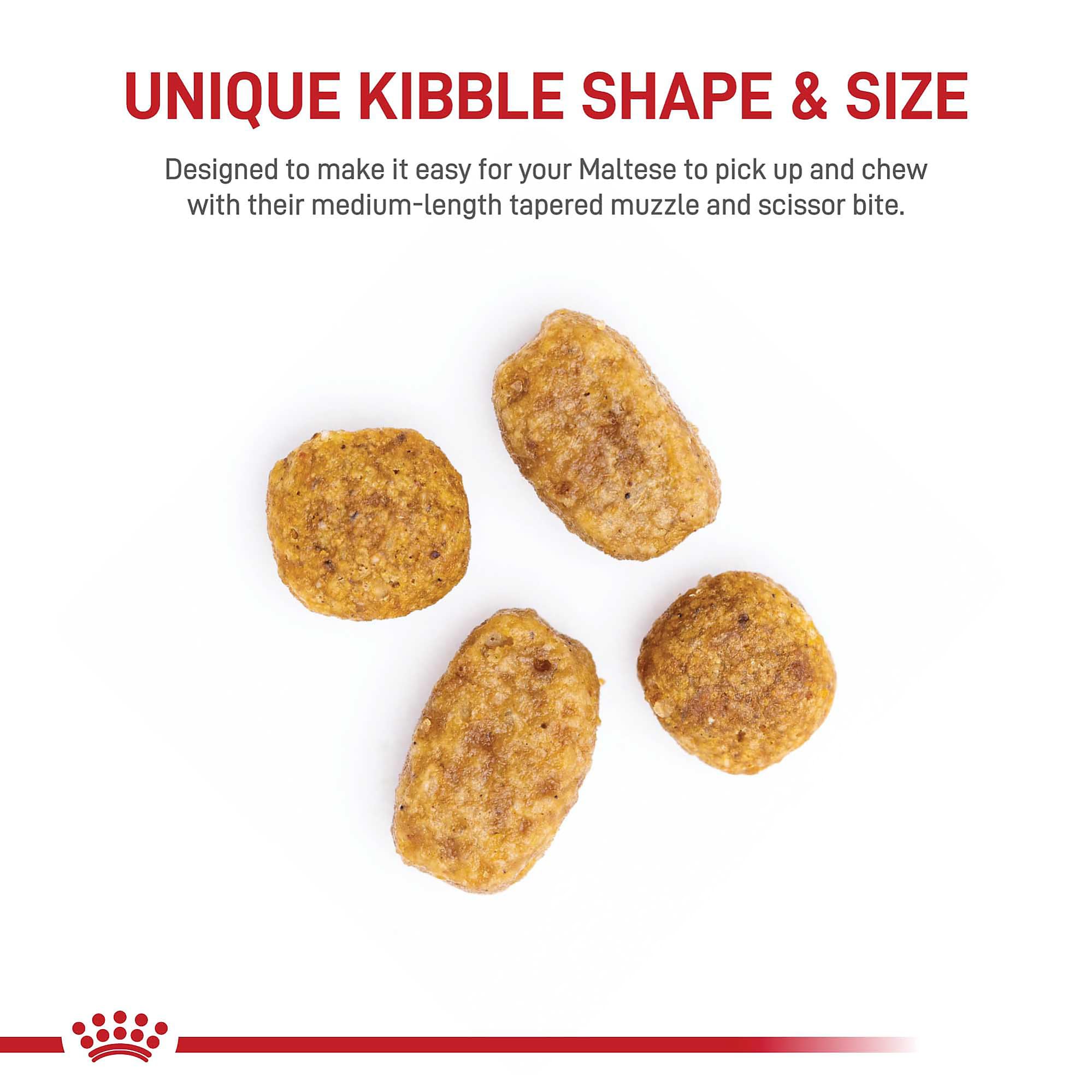 ROYAL CANIN croqueta junto a moneda para comparar tamaño adecuado