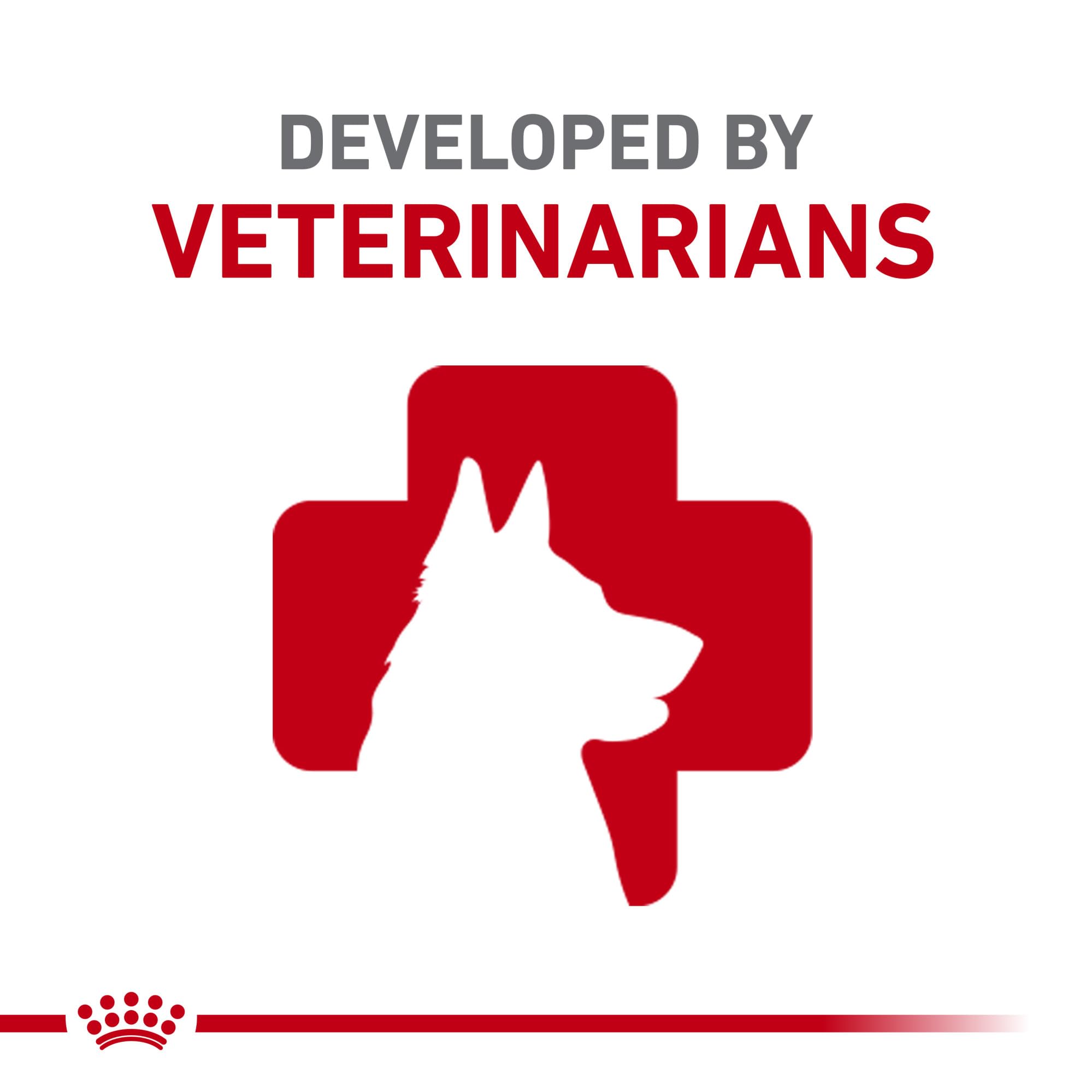 ROYAL CANIN ingredientes clave resaltados que apoyan piel y pelo