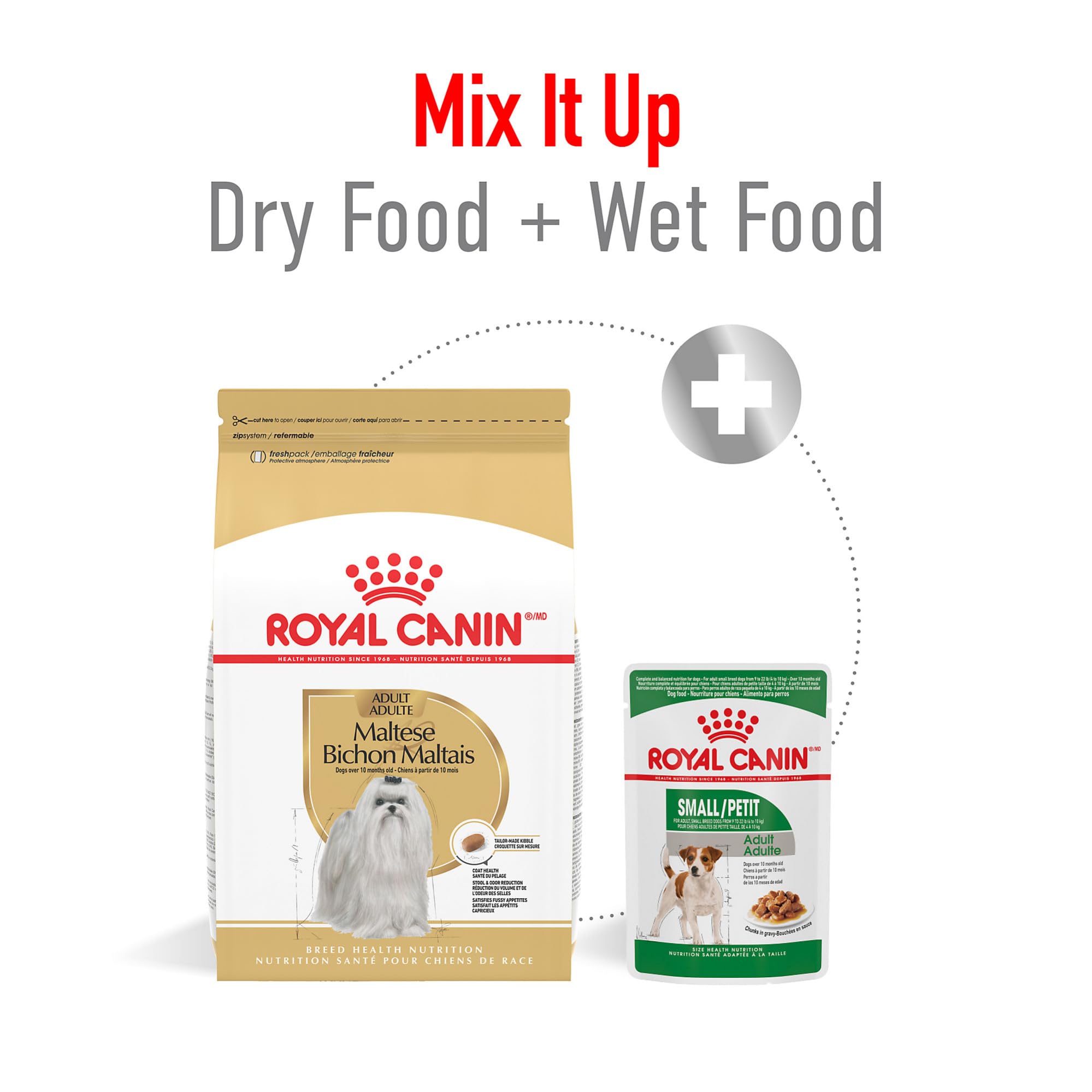 ROYAL CANIN Maltés con pelaje largo brillante como ejemplo de beneficio
