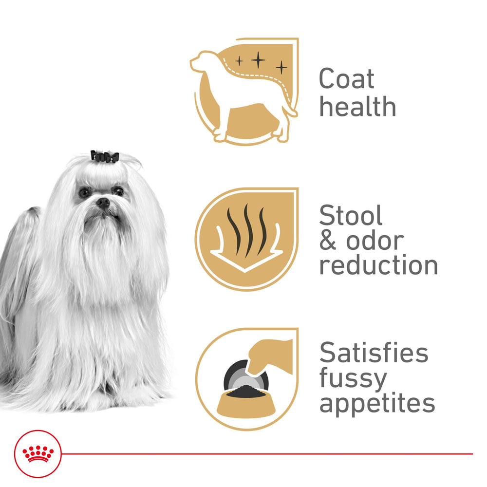 ROYAL CANIN Maltés comiendo del comedero, mejora la aceptación