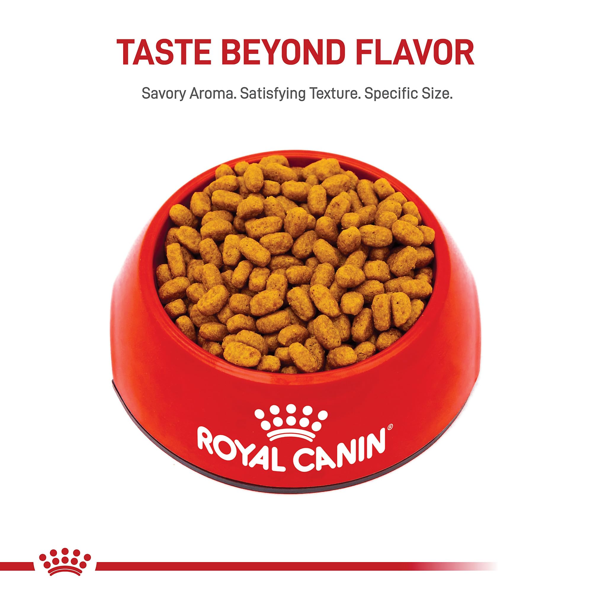 ROYAL CANIN close-up de la textura de la croqueta para fácil masticación