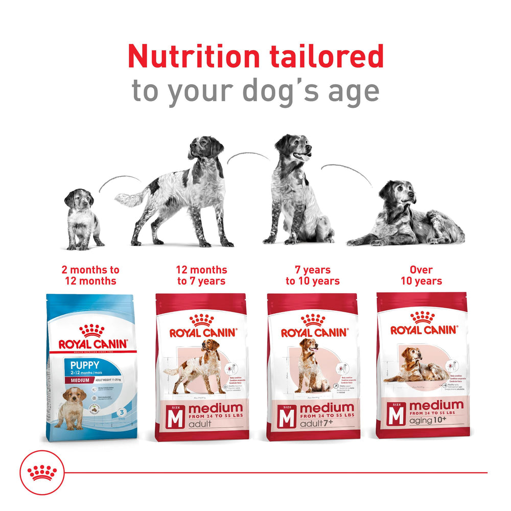 Royal Canin empaque de 4 lb colocado para identificar producto