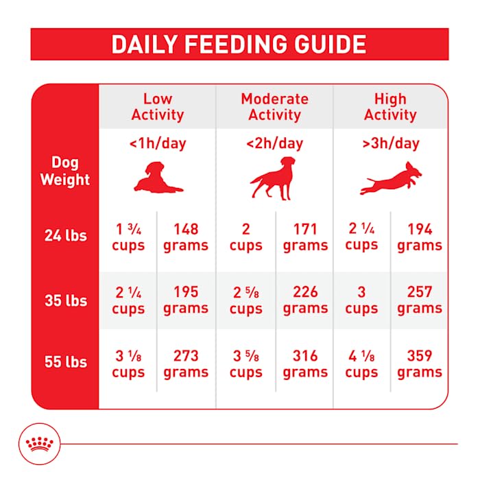 Royal Canin bol con pienso servido para una comida balanceada