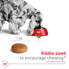 Royal Canin comparación tamaño croqueta para perros medianos