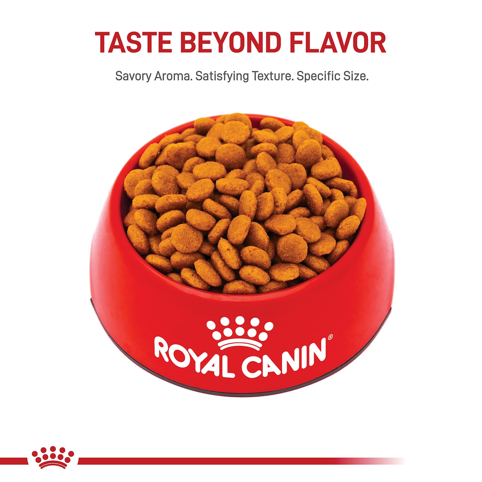 Royal Canin primer plano textura y fuente de omega 3 para piel