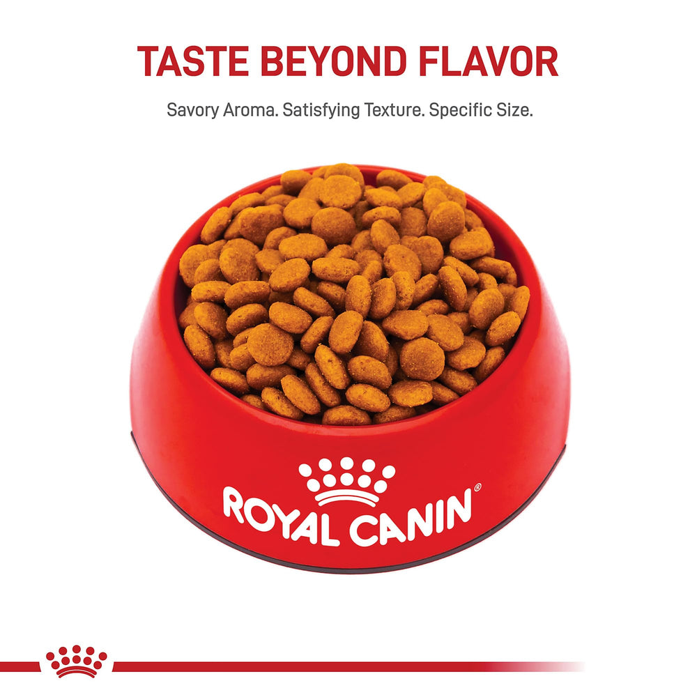 Royal Canin primer plano textura y fuente de omega 3 para piel