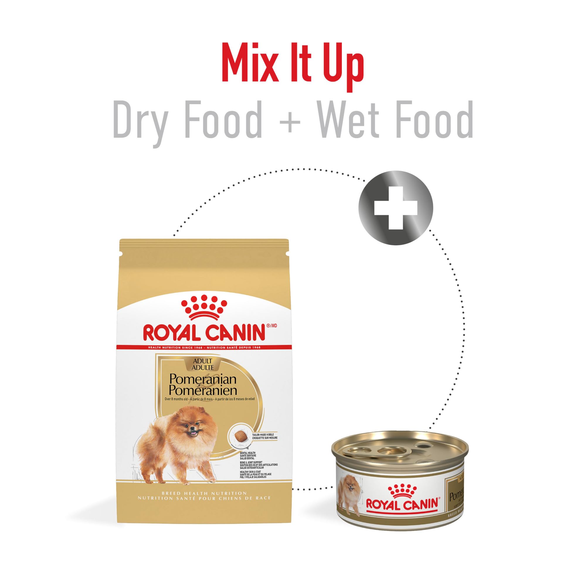 ROYAL CANIN perrita Pomeranian comiendo para una digestión cómoda
