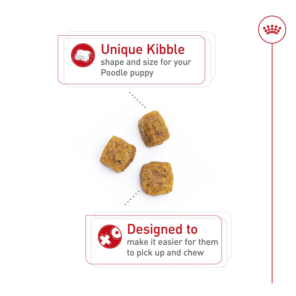ROYAL CANIN primer plano de la croqueta diseñada para hocico de Poodle y fácil masticación