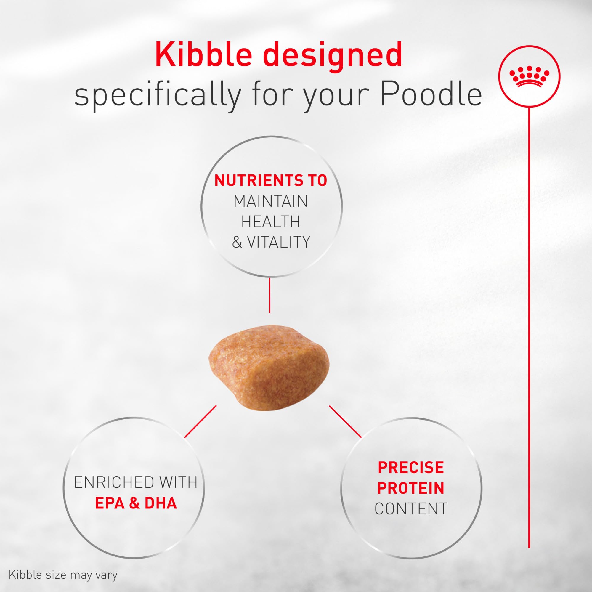 ROYAL CANIN primer plano de croqueta que muestra forma y textura adaptada al Poodle