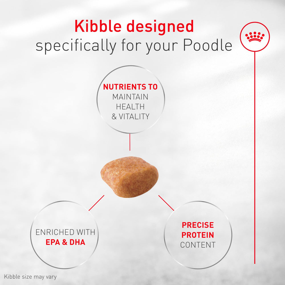 ROYAL CANIN primer plano de croqueta que muestra forma y textura adaptada al Poodle