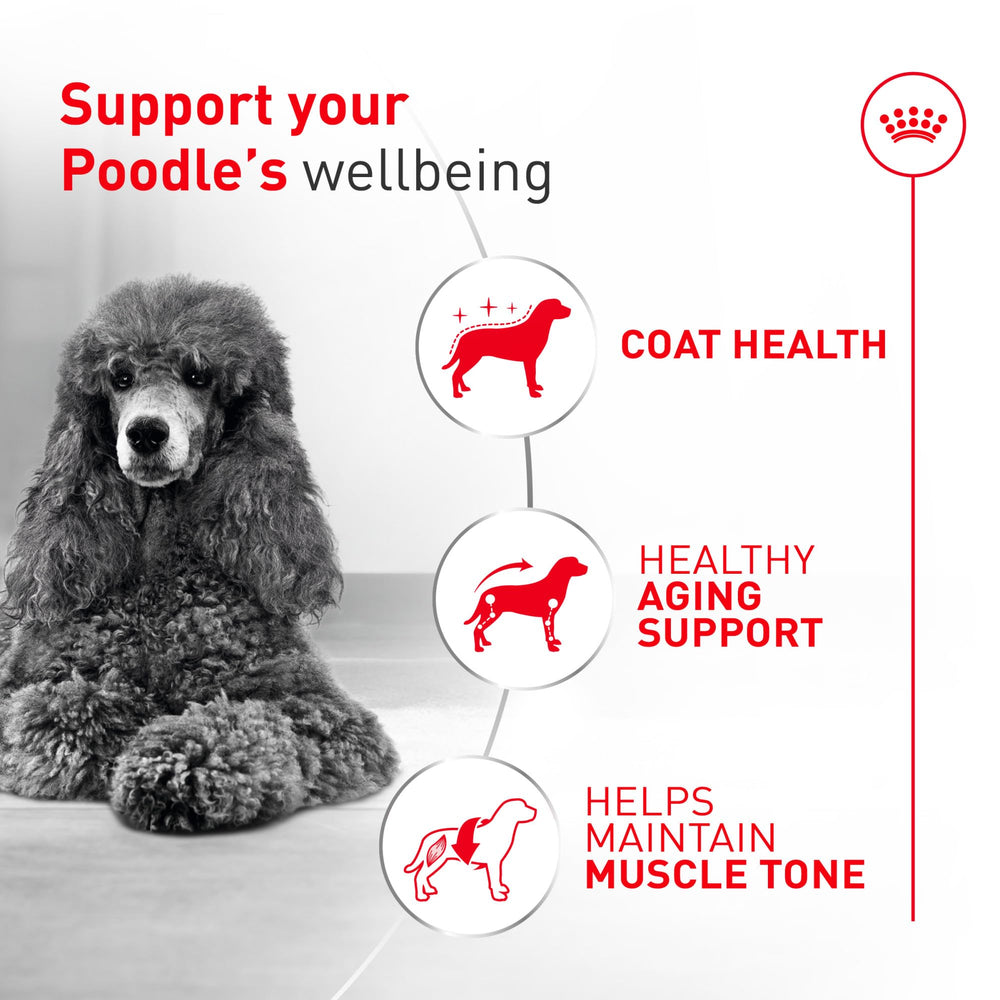 ROYAL CANIN detalle de etiqueta con información nutricional y beneficios claros