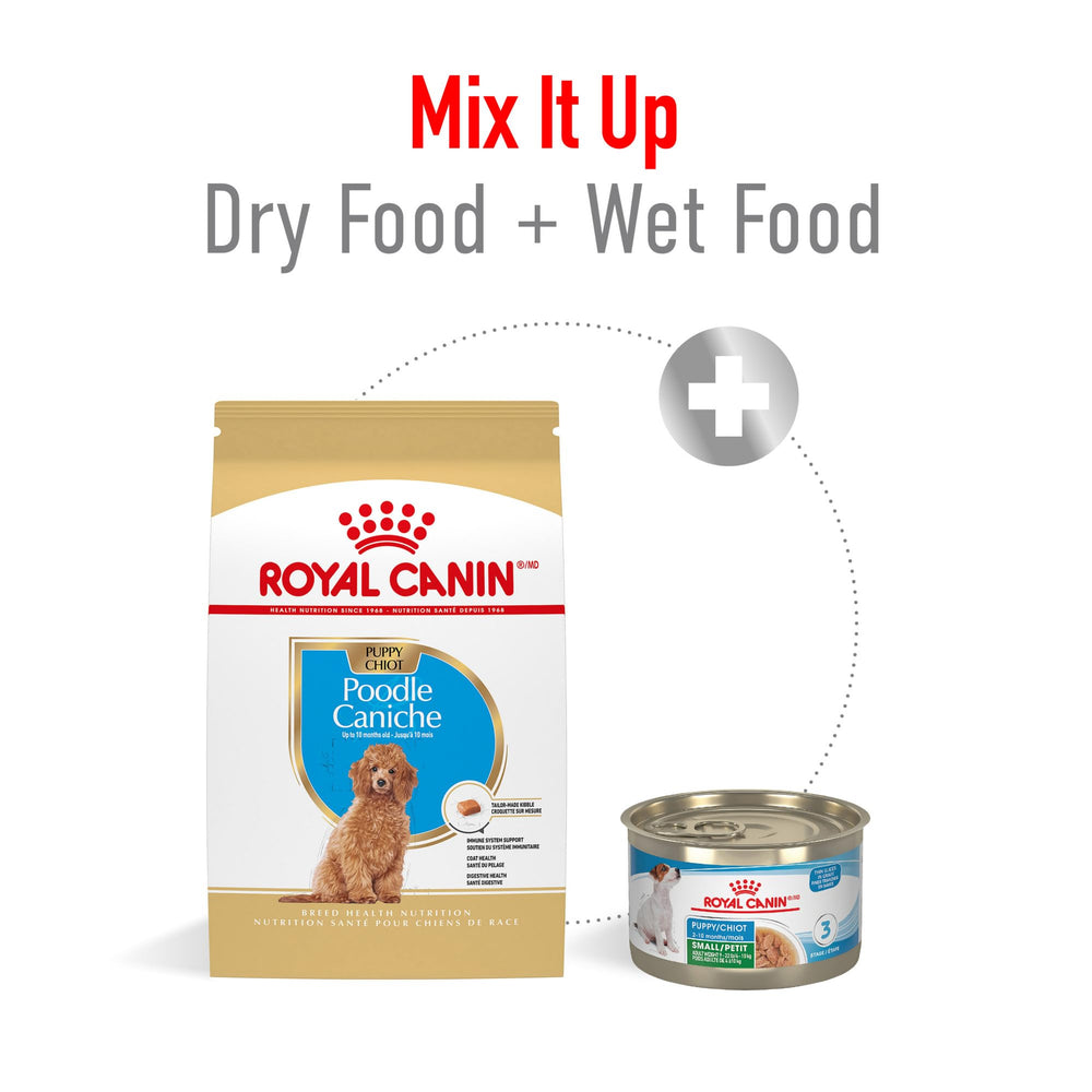 ROYAL CANIN bolsa junto a escala para comparar la 2.5 lb y visualizar cantidad en casa