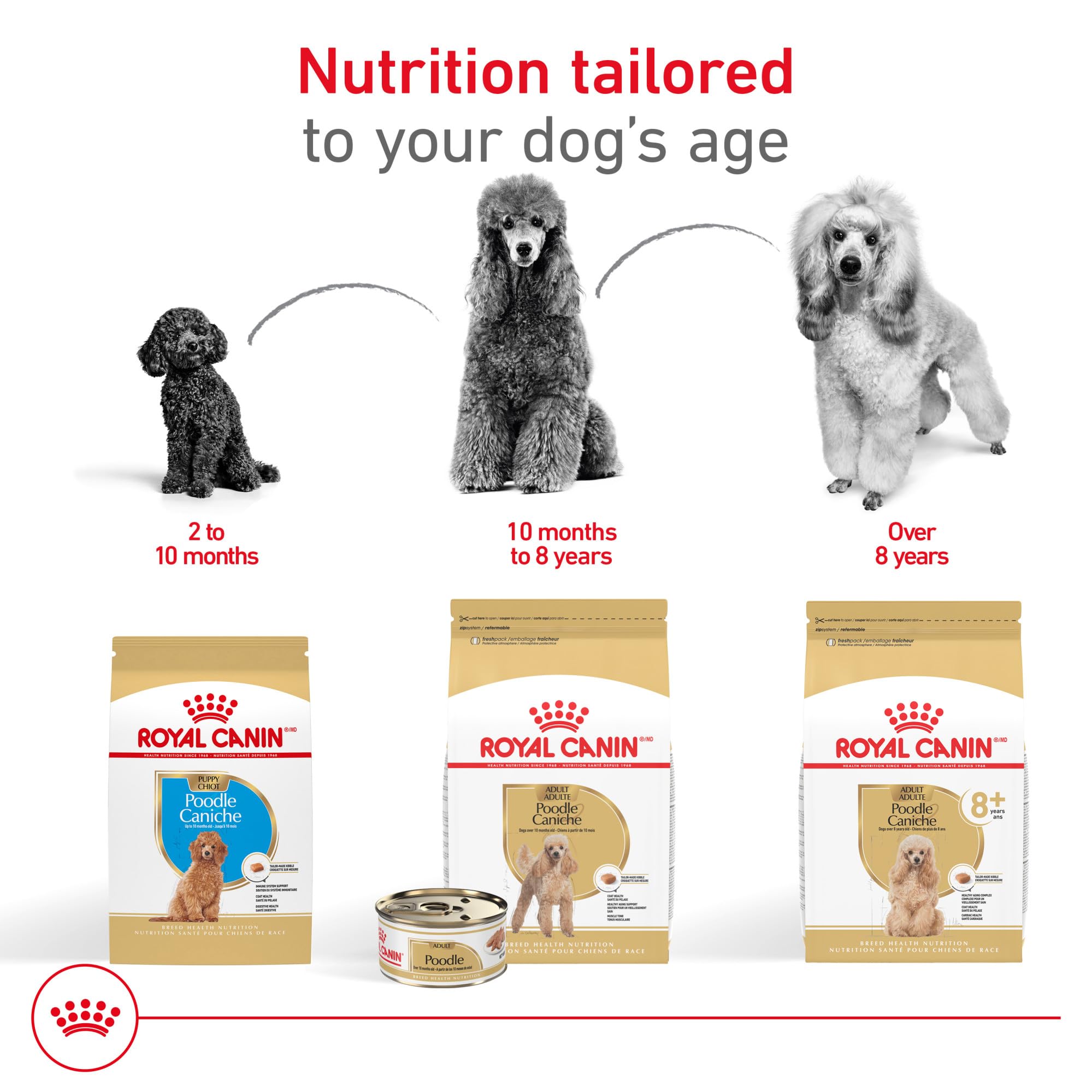 ROYAL CANIN etiqueta de ingredientes que resalta EPA, DHA, prebióticos y vitaminas