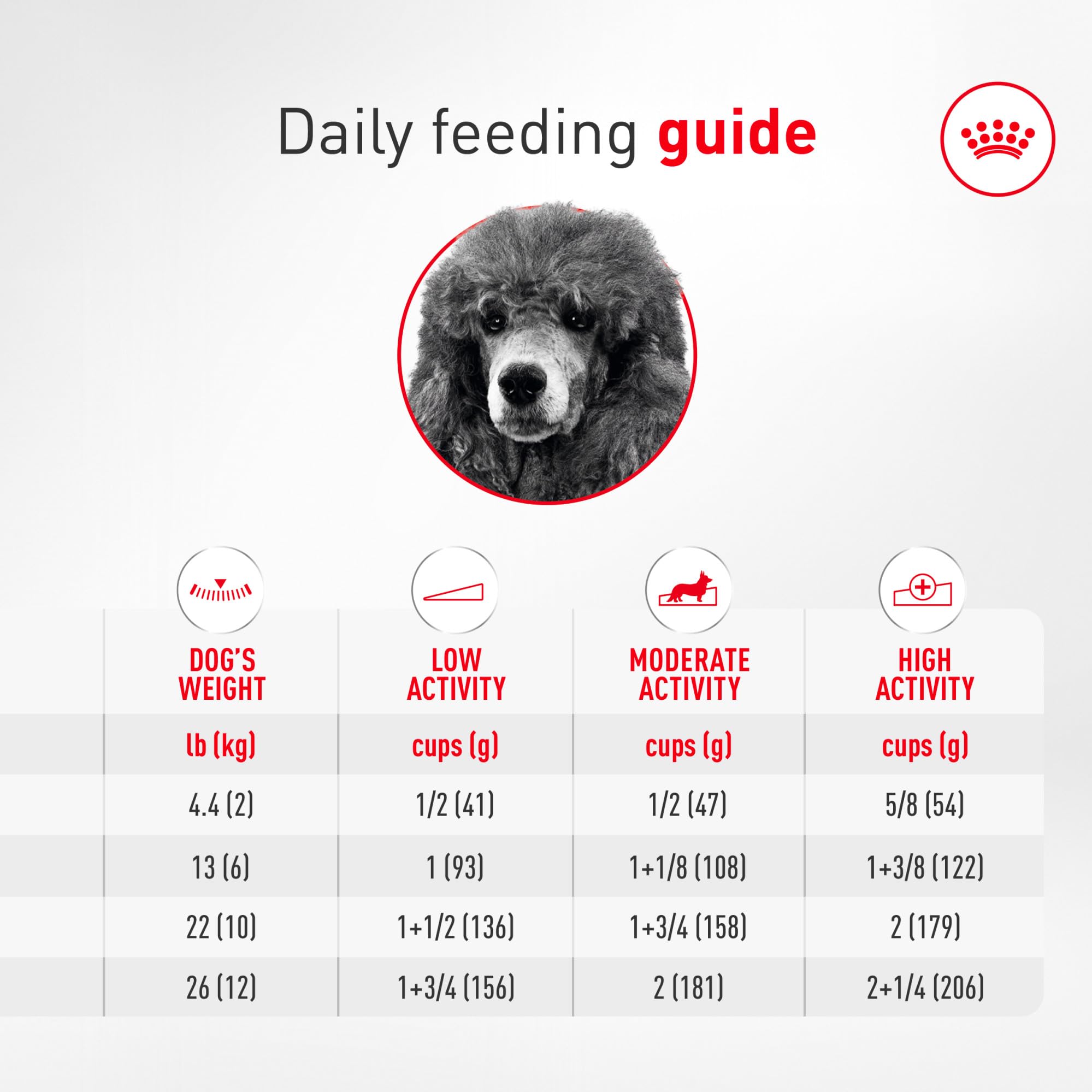 ROYAL CANIN ingredientes principales presentados para destacar EPA, DHA y proteínas