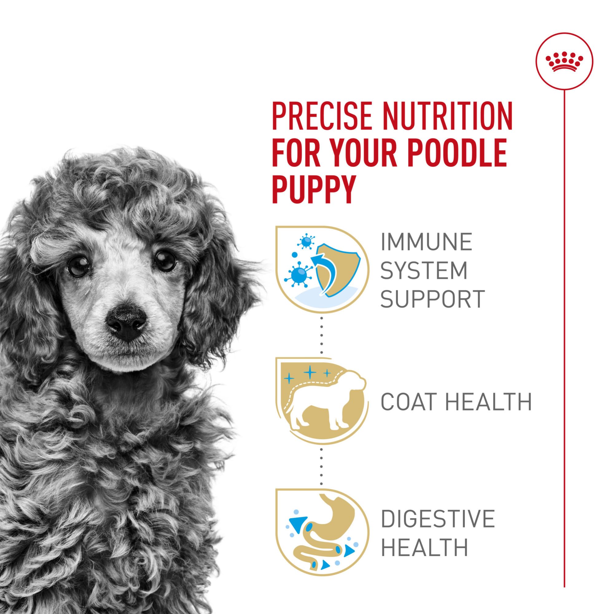 ROYAL CANIN textura de croqueta en mano que ilustra tamaño y forma adaptada para cachorros
