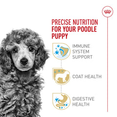 ROYAL CANIN textura de croqueta en mano que ilustra tamaño y forma adaptada para cachorros