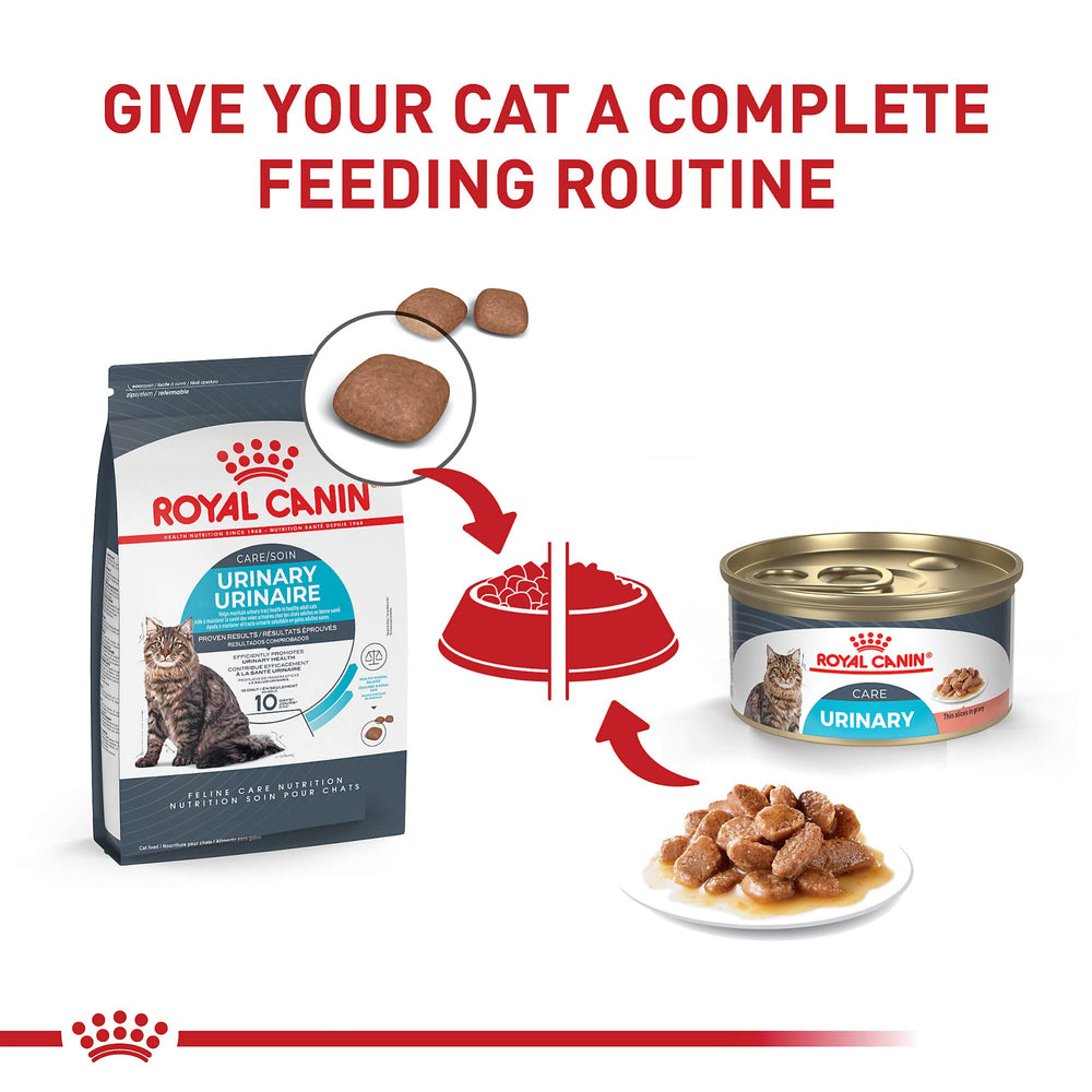 ROYAL CANIN porción en plato lista para comer y estimular apetito
