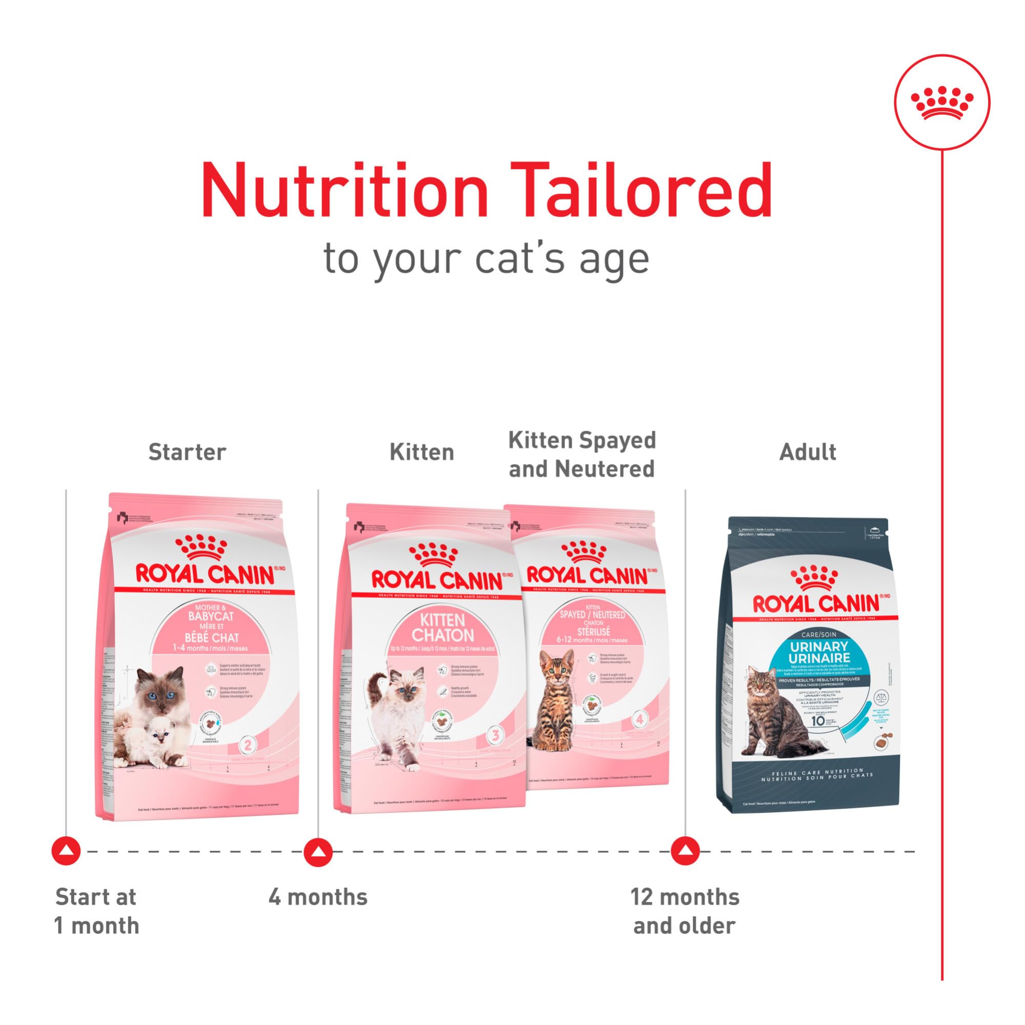 ROYAL CANIN porción sobre mano para mostrar tamaño de croqueta adaptable