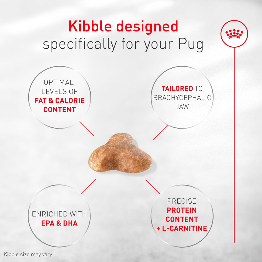 ROYAL CANIN detalle de croqueta en trébol, facilita la toma para Pug