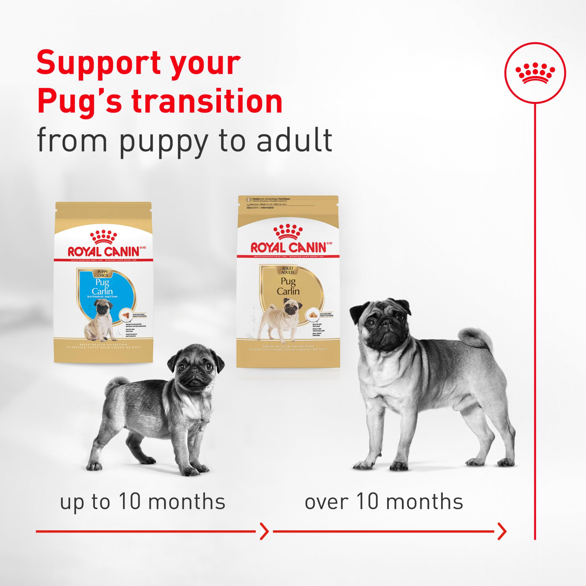 ROYAL CANIN etiqueta nutricional ampliada, información precisa y clara