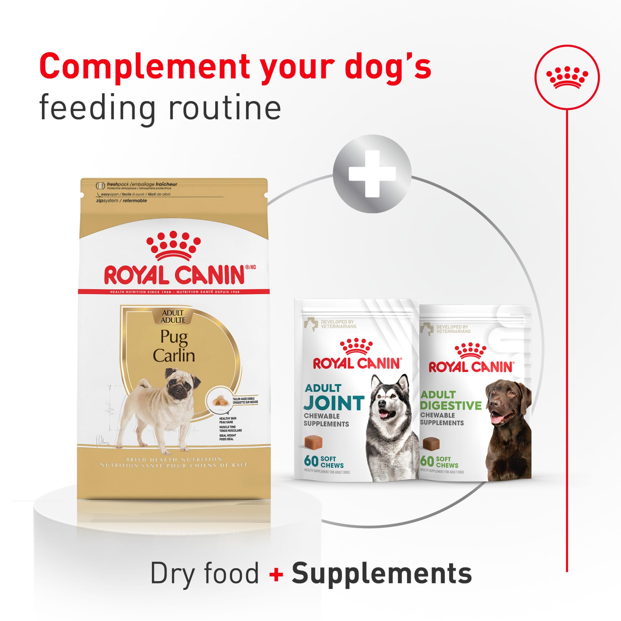 ROYAL CANIN Pug en juego junto a balanza, ayuda al control de peso