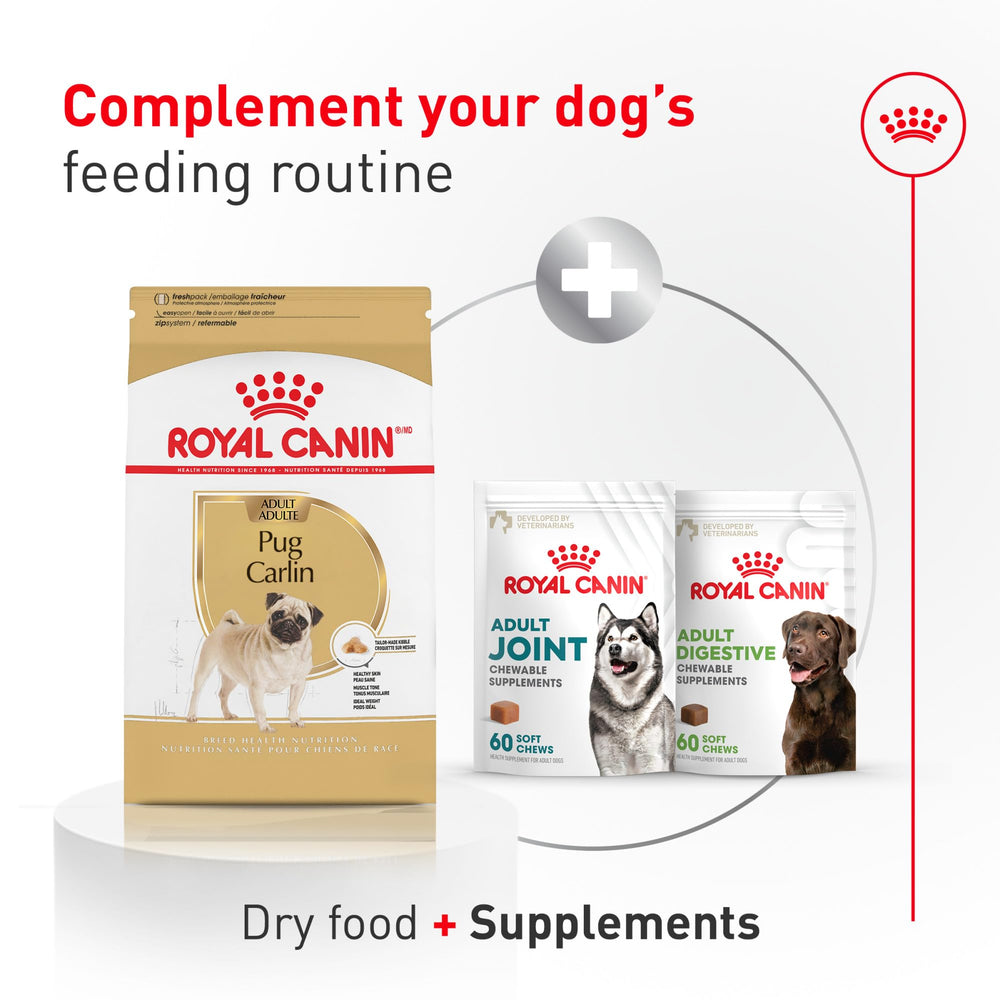 ROYAL CANIN Pug en juego junto a balanza, ayuda al control de peso